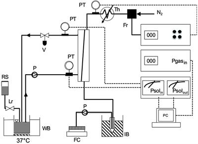 The Maximal Pore Size of Hydrophobic Microporous Membranes Does Not Fully Characterize the Resistance to Plasma Breakthrough of Membrane Devices for Extracorporeal Blood Oxygenation